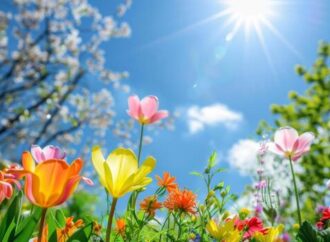 Embracing Summer: A Season of Energy, Growth, and Joy