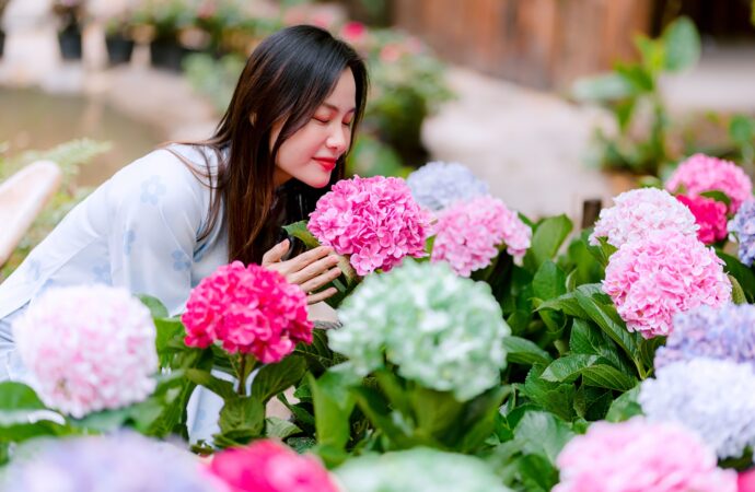 Blooming Beauty: Top Summer Flowers to Brighten Your Garden